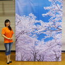 桜装飾 さくら満開バックスクリーンシート H240cm×W175cm / 桜 装飾 幕 プリント 背景