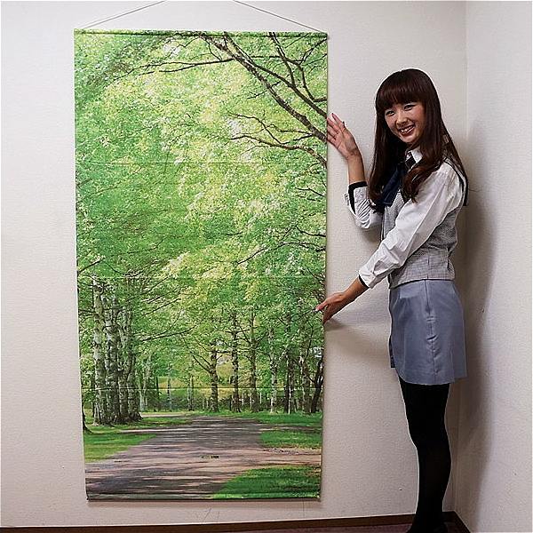 新緑装飾　スプリンググリーン　タペストリー　白樺並木　防炎加工