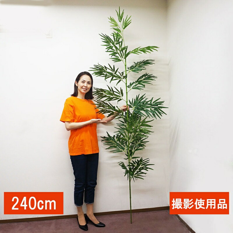 Rakuten - 【撮影使用 特価品】本格 七夕笹・リアル青竹(240cm) 組立式2分割 / バンブーツリー 七夕 飾り 七夕笹 七夕イベント 竹笹 スタンドなし 笹のみ プラスチック製
