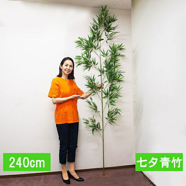 Rakuten - 七夕本格笹・リアル青竹　バンブーツリー　240cm　組立式3分割 / 飾り 七夕 笹 イベント 竹笹 造花