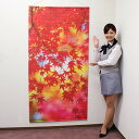 タペストリー 秋 もみじ2 防炎加工
