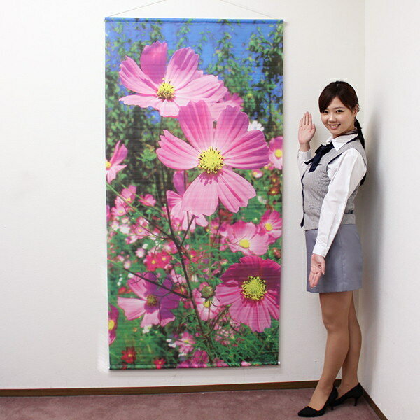 樂天商城 - タペストリー　秋　新コスモス　180cm×90cm / 飾り 装飾 ディスプレイ 販促グッズ ポスター