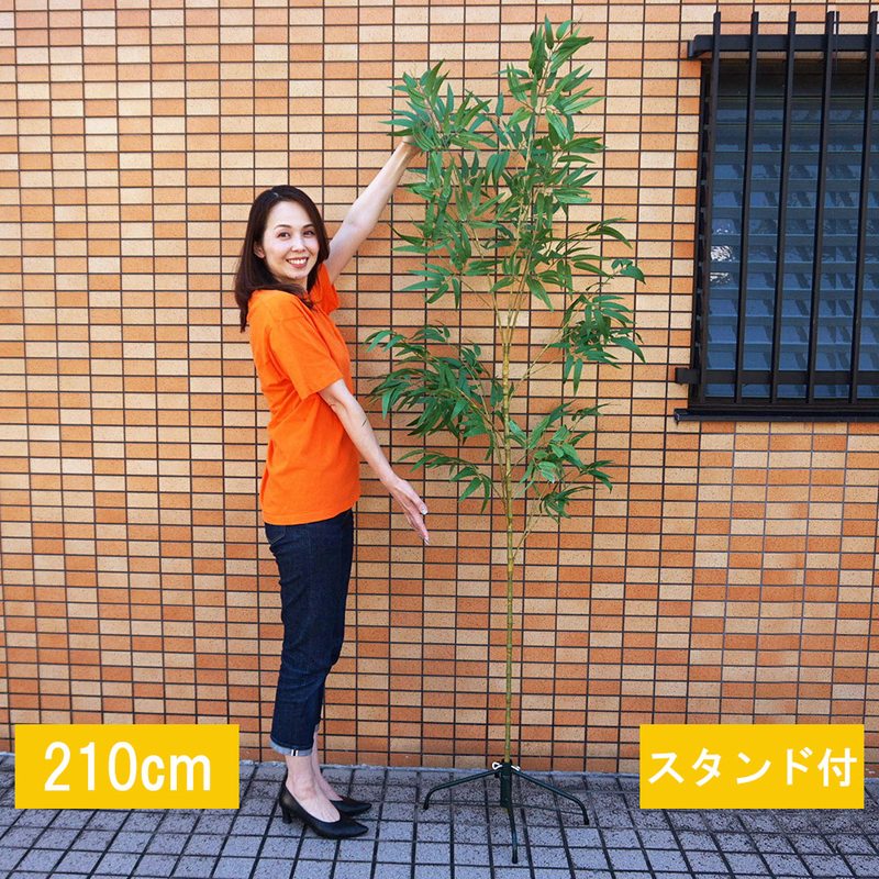 乐天商城 - デラックス 七夕笹・リアル節竹　210cm (組立式3分割)　4本足スタンドセット / 七夕 笹 竹 バンブーツリー 飾りつけ