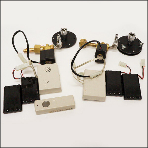 �ü���̡���������Υ�ˤ��2�С���⥳����/ ư��ͭ