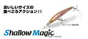 【選べる3点セット】シャローマジック 45mm 全30色 Aqua Wave アクアウェーブ 1.8g コーモラン プロダクト ルアー ミノー ライトゲーム 釣...