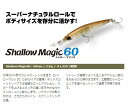 【選べる3点セット】シャローマジック 60 Shallow magic シャロウマジック 60mm 3.8g Aqua Wave アクアウェーブ コーモラン プ...