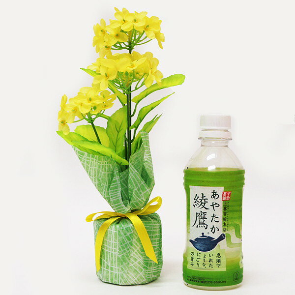 楽天イベントのミカタ春の装飾　菜の花ラッピングポット　H26cm / 飾り ディスプレイ