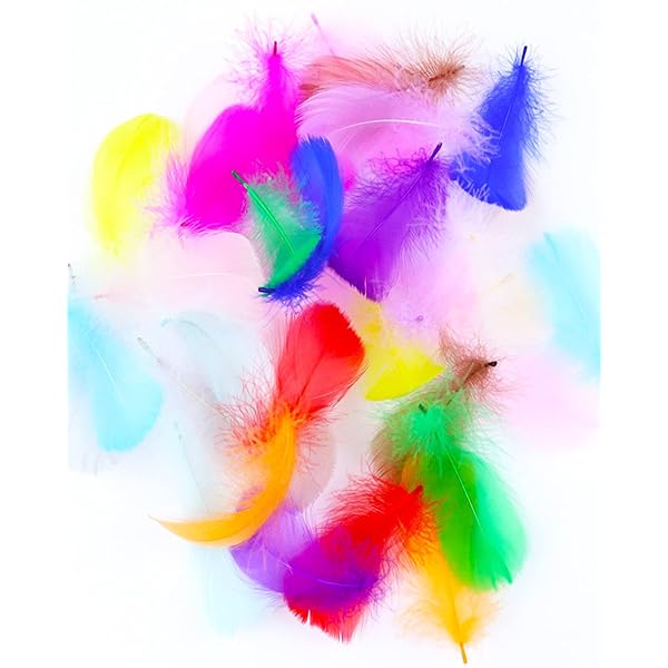 羽シャワー フェザーシャワー カラフル 天然 染め羽根 手芸材料 DIY装飾小物 幻のマカロンの羽 結婚式 誕生日 パーテ 披露宴 演出 羽根装飾（200枚入）