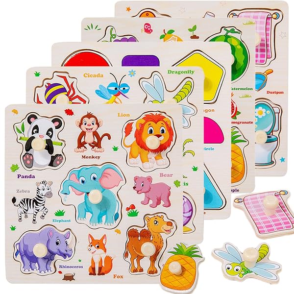 モンテッソーリ玩具 知育玩具 5種類シリーズ 型はめパズル 1 2 3 4歳幼児早期開発 はめこみ・ ...