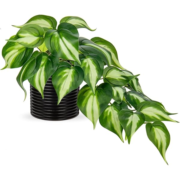 フェイクグリーン インテリア グリーン 人工観葉植物 卓上 鉢植え 造花 エアプランツ かわいい 新築祝い 開店祝い 新年 クリスマス オフィス 店 卓上 おしゃれ (1, 20CM＋陶器02)