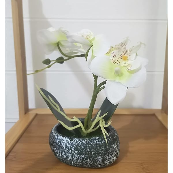 人工観葉植物 胡蝶蘭 造花 光触媒加工 卓上型 船型の鉢植 石鉢インテリア フェイク シルクフラワー 胡蝶蘭 新築祝い お開店祝いギフトに最適 プレゼント 敬老の日 (石鉢, 白)
