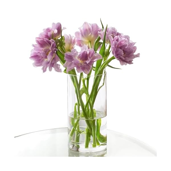 割れない 透明 花瓶 【12サイズ展開】 軽量＆安全 プラスチック製 フラワーベース インテリア装飾 水入れ可 シンプルデザイン (10x30)