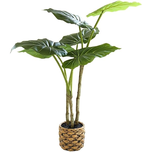 qinhome人工観葉植物 熱帯観葉樹 旅人木 光触媒 フェイクグリーン フェイク大型サイズ 高さ65CM 簡単世話いらず 陶器鉢 鉢は取り外し不可 インテリア 屋内 リビング オフィス 空気清浄 (ディフェンパキア)