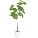 フェイクグリーン 人工観葉植物 125cm 観葉樹 造花 光触媒 消臭 お手入れ簡単 オフィス 室内 インテリア