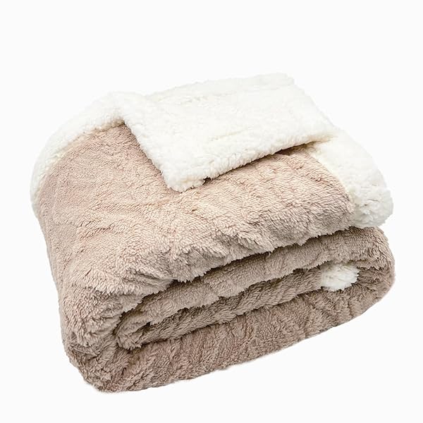 毛布 冬用 ダブル 200x230cm 掛毛布 クイーン おしゃれ 二枚合わせ 北欧風ボア 軽量 通年使用 洗える 抗菌防臭 防ダニ 静電抑制 Blanket(ベージュ)