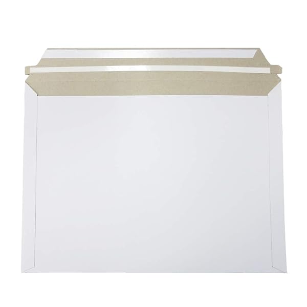 �������� 50���� �ӥ��ͥ��쥿��������������Ķ������300g������A4�᡼�����б���̳�ѥۥ磻��͹���ޥ�åԥ��޹��͹�ؤ�����DVD�����ʪ����������ອ��...