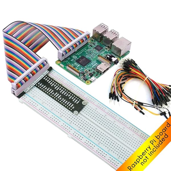 40 pin ribbon cable raspberry piβ