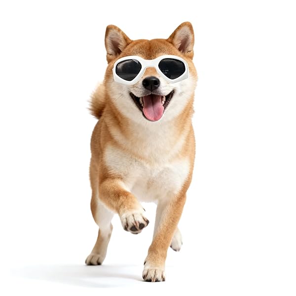 犬サングラス uvカット 小中型犬用ゴーグル 紫外線対策 散歩 お出かけ用 白い