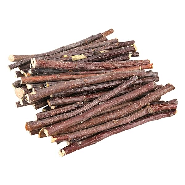 100g りんごの木 天然 極細枝 中枝 かじり木 小動物用のおもちゃ 噛むおもちゃ ストレス解消 チンチラ ハムスター モルモット ウサギ リス ハリネズミに適していますのサムネイル