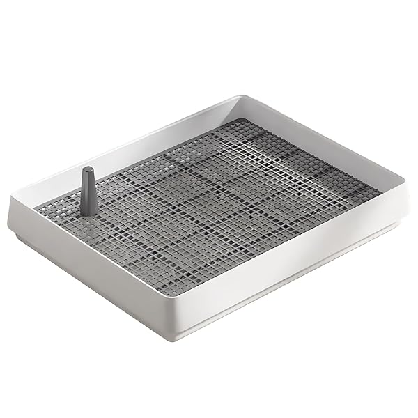 ever-leaf㤨ָȥ Ĥ ƥåץȥ졼 緿б ݽñ å 39*31cmפβǤʤ3,078ߤˤʤޤ