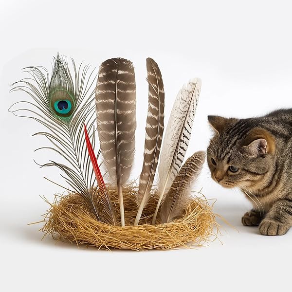 ǭ ������� ���� ŷ�� ǭ����餷 Ļ�� 6�� �ΰ��� ���Ɀư ���ͷ�� ���ȥ쥹��� �Ρ������ ˭�ƥȥ��ʥ����å����ȡ� ���󥿥饯�ƥ��ִ�� ...