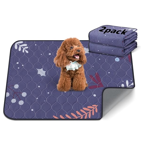 2祻åڥåȥ ڥåȥ  ߤ äȴݤ ߤޥå ͽŹ¤ ϳɻ ® ߤ 淿 緿 ǭ ...