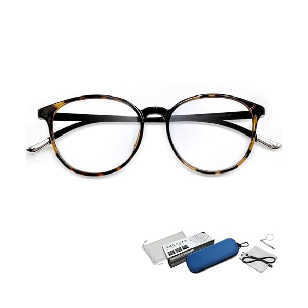 롼ڥᥬ ǿ 롼 1.3-1.9 礭 Ϸ ֥롼饤ȥå ٤ 6å  ᥬͷ롼 ᤬  ռ...