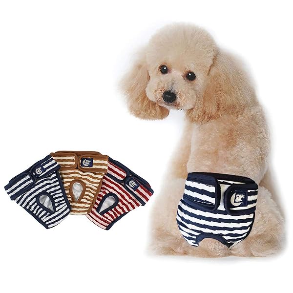 犬オムツ 犬用サニタリーパンツ 3枚 洗える 再利用可能 生理用 パンツ 女の子用 雌犬用 発情期用 生理パンツXL