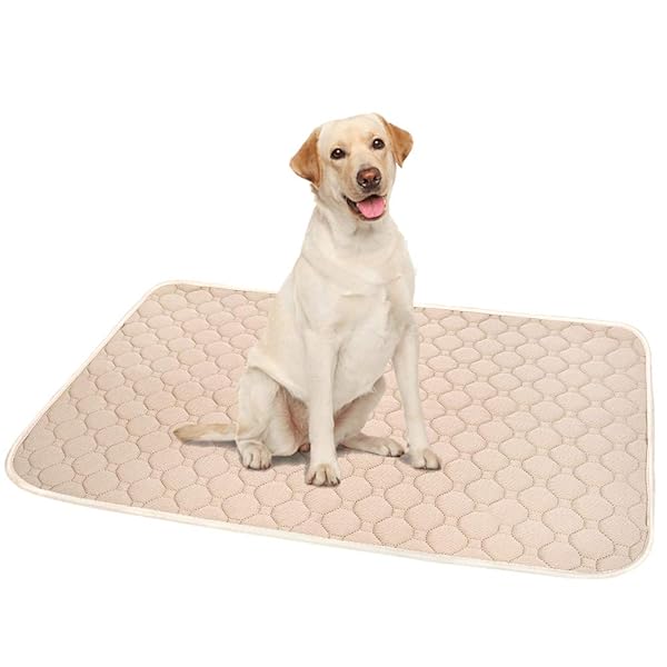 ペットシーツ 洗える 猫 犬用 おしっこパッド ペット用 トイレ下敷きマット 速乾 洗える 脱臭 抗菌(ベージュL)