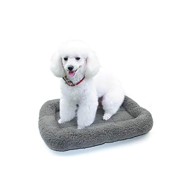 猫 クッション、長方形 中小型犬猫用ベッド、ペットベッド ふわふわ クッション、通年じて使える 猫 寝床、枕のあるベッド 猫 座布団 洗える、滑り止め、Mサイズ、グレー