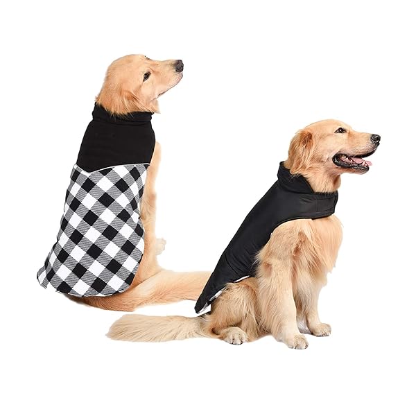 ���� �ڥå� �������� ������ �淿�� �緿�� ���� ��С����֥� �������� �٥��� ���åѡ����դ� µ�ʤ� �ޥ��å��ơ�����æ��ñ ������ ���㥱�å� ���� ...