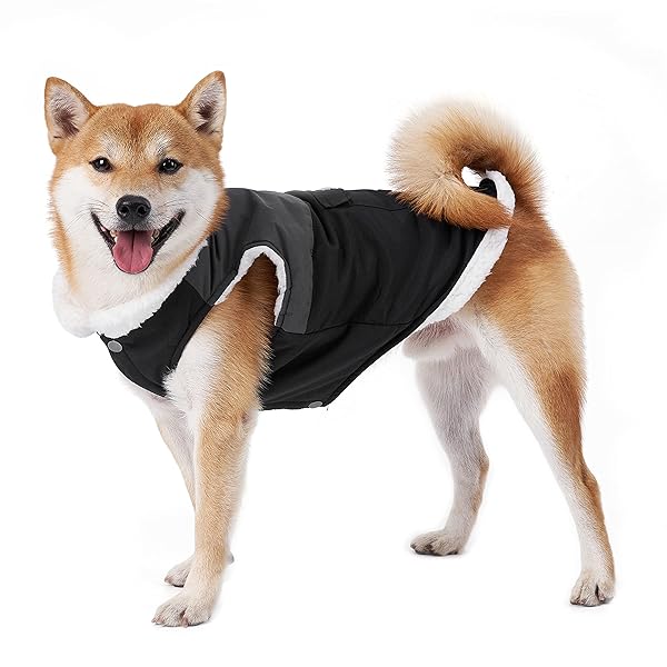 ���� ���� ���� ���ѥ����� �ɥå������� �����к� �ɴ��������㥸�㥱�å� �ݲ������� ��æ��ñ �Ȥ��� ���餫�� �İ��� ������ �淿�� �緿�� ������ (...