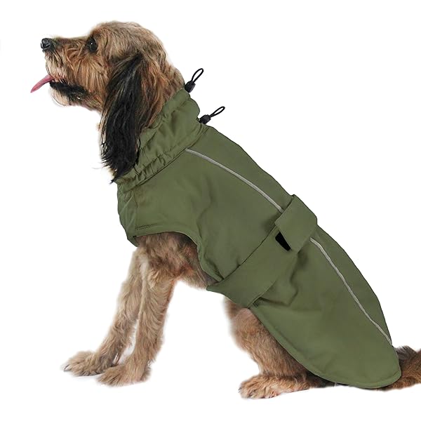 ���� ���� ���ѥ����� ���� �ɥå������� �ɿ� �ɴ� ���� ���� �ݲ������� ��æ��ñ ������ �淿�� �緿�� ���㥱�åȼ� ȿ�ͺ� �����к� �İ��� �Ȥ���...