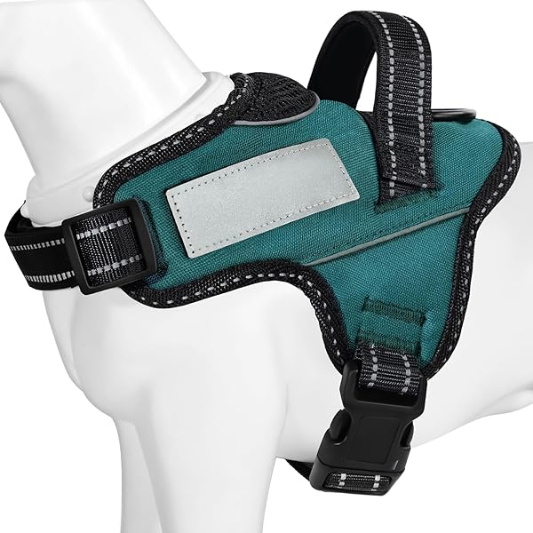 �����ܴ�踤�ϡ��ͥ��� ����ƹ�� ������/�淿��/�緿���ϡ��ͥ� �뤵�к� ����ͥ���� �������ʿ� �̵��� ��ô���ʤ� �͡���ץ졼�� 7������(���������꡼...