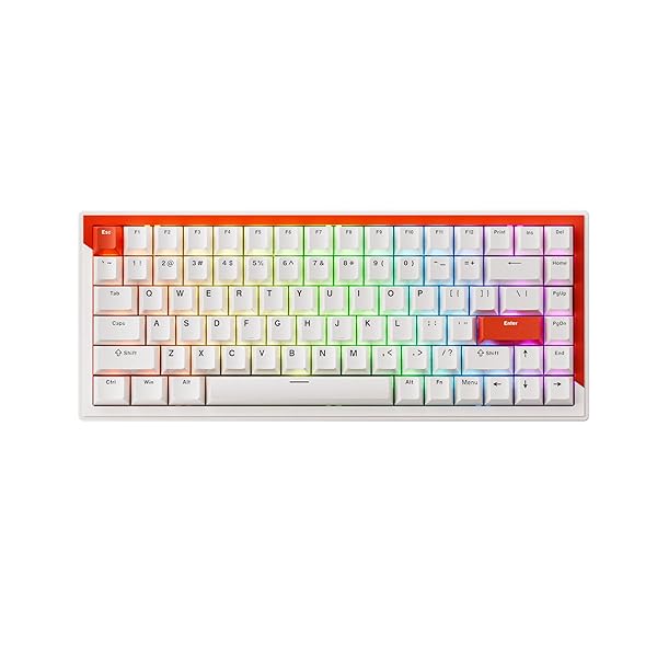 G75 ラピッドトリガーキーボード eスポーツゲーミングキーボード - 磁気スイッチ - デュアルトリガーモ..