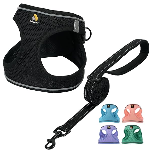 犬用 ハーネス リード セット 小型犬 超小型犬 猫用ハーネス 胴輪 引っ張り防止 サイズ調整可能 夜間反射 脱着簡単 散歩用 耐久性 通気性 ソフト メッシュ (ブラック, XXS)
