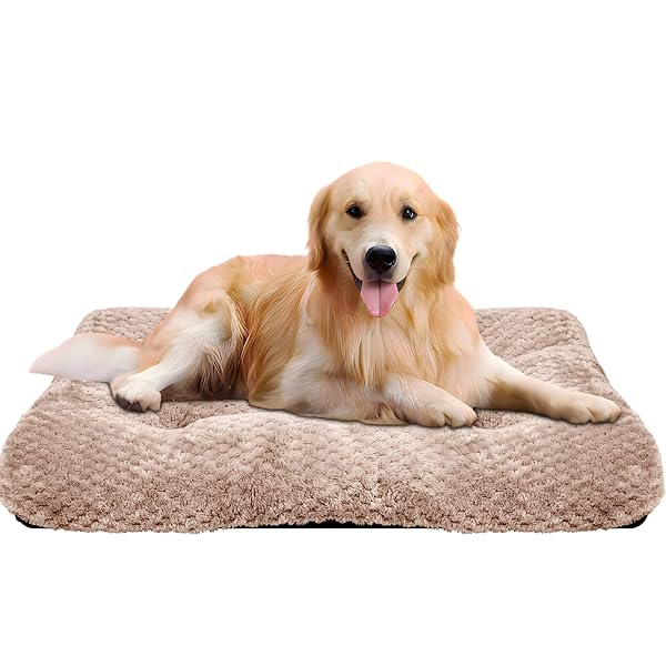 ペットクッション 猫 犬 ペットベッド ふわふわ 猫ベッド 犬ベッド もふもふ 暖かい ペットクッション 洗える 滑り止め 保温防寒 寒さ対策 ぐっすり眠る ペット用ベッド 通年 子犬 猫用 ベッド サイズ/カラー選択可 小動物用 ペット用品 おしゃ