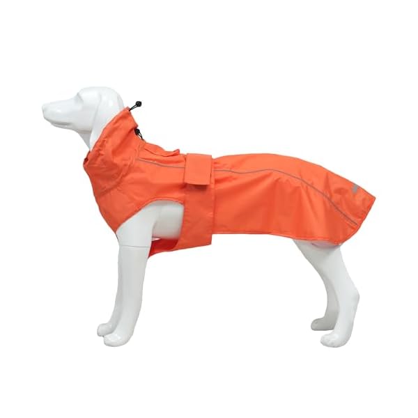 �� �쥤�󥳡��� �ɿ� ���� �̵� ���㥱�å� �����å� �ڥåȱ��� ���� ��æ��ñ �꡼�ɷ��դ� �߱��к� ���ȿ�� Ĵ��� ���� �淿 �緿���� �͵����� ...