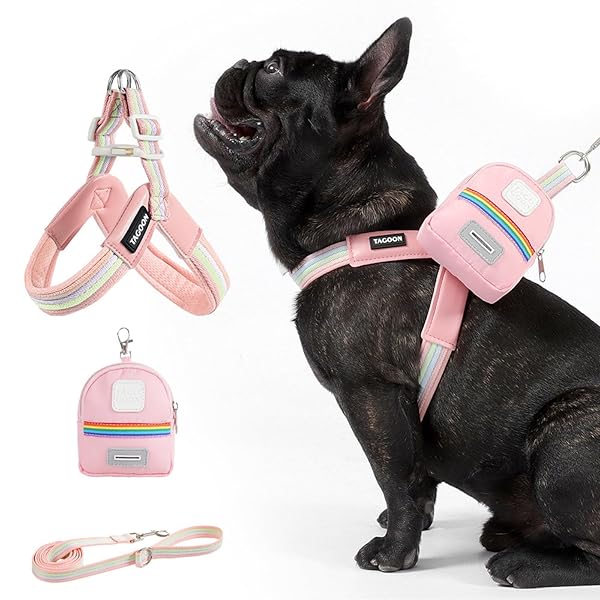 乐天商城 - 犬 ハーネス リード セット 小型犬 中型犬 用 彩虹デザイン 胴輪 V字型 通気性 メッシュ 軽量 柔らかい PU革 着脱簡単 調節可能 引っ張り防止 おしゃれ 可愛い ポーチ付き 散歩/お出かけ (ピンク, S（3-6kg）)