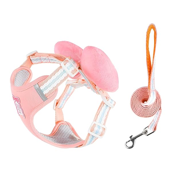  ϡͥ İ ܥդ ꡼ɥå  ñ ȴʤ åǾʤ  淿  Ф (ԥ, M(3-5kg)...