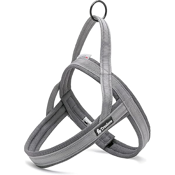 喉に優しい犬用ハーネス 犬用胴輪 TRUE LOVE日本授権店 ドッグ ペット用品 お出かけハーネス 3M反射材料 訓練用 ナイロン製 小型犬、中型犬、大型犬に向け 通気性 調節可能 おしゃれ 夏に対応(S, グレー)