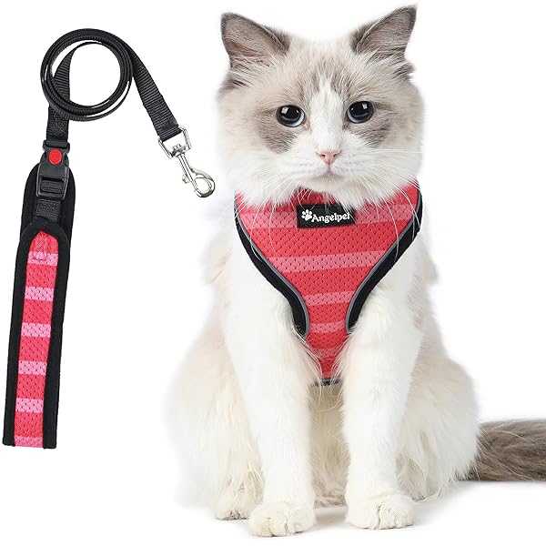 猫 猫用 ハーネス 胴輪 猫具 ねこ ネコ 子猫 子犬 小型犬 散歩 お出かけ 抜けない ベスト ソフト胸あて..