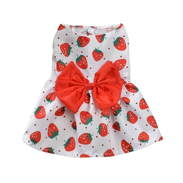 犬服 ワンピース 春夏 ドレス 可愛い いちご柄 人気 夏服 ペット服 スカート おしゃれ 涼しい 通気性 ドッグウェア ファッション ペットウェア 犬猫 洋服 小中型犬 犬用 猫用 お散歩 お出かけ (レッド, M)