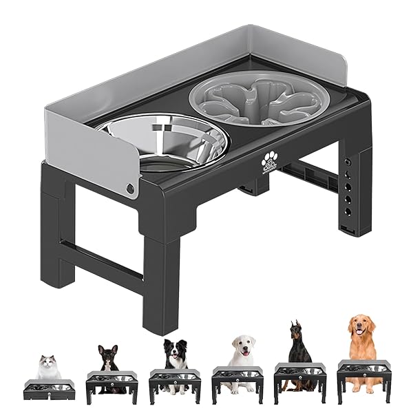 6ʳ⤵Ĵǽ ƥ쥹 ߤդ ɥåܥ륹ɥå ®µǽդХåեʻڤ˥ܥդ 緿淿ǭ (...