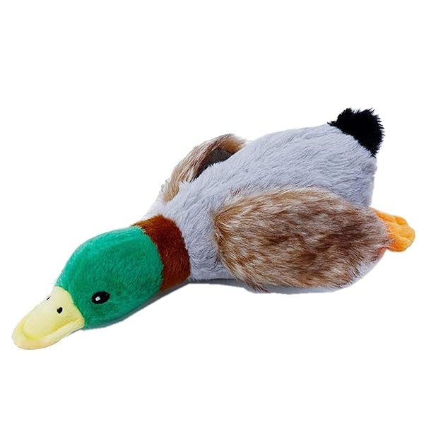 �� ������� ���ΤǤ��� �������� �ΰ��� ��� �̤������ ���᤭ ����ˤ��� ����ĥ�� ��ư��­ ������ �淿��