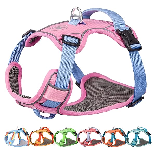 �� �ϡ��ͥ� ���� �淿�� �緿���ϡ��ͥ� ����ƹ�� ������ �ɥå������� ����ĥ���ɻ� ���ȿ�� ���Ĥ��� Ĵ����ǽ ��ñ���� ������� ������ʥԥ�SS��