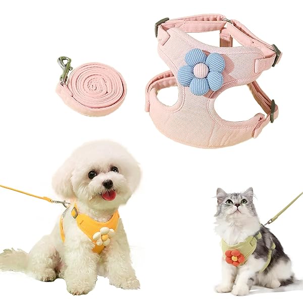 �ڥå��ѥϡ��ͥ� ���ѥϡ��ͥ� ǭ �� ����ĥ���ɻ� �����ޤ��̤��� ��å����Ǻ� ������Ĵ����ǽ ȴ���ʤ� �̵��� ��ñ��æ ������� ���� ���Ĥ��� ���� ...