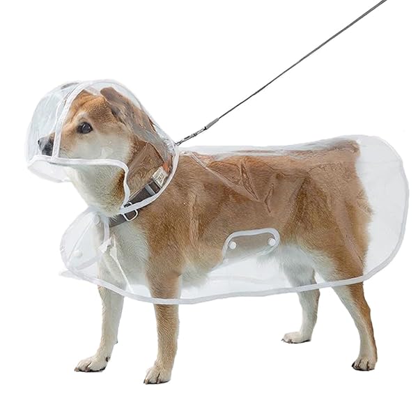 犬用レインコート ペットレインコート カッパ ポンチョ マント 小型犬 中型犬 大型犬 柴犬 透明な合成樹脂 帽子付き 着せやすい 耐水性 耐久性 風よけ寒さ 梅雨対策 散歩 お出かけ(drt004-White-L)