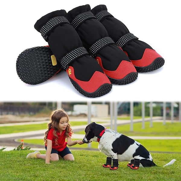  ɥå֡ ɿ ɽ ۿ® ѵ æˤ ߤ   ݸ  ȿͥơ 淿 緿 4ĥå (å,...