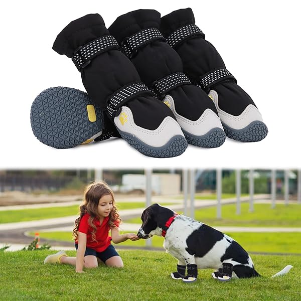  ɥå֡ ɿ ɽ ۿ® ѵ æˤ ߤ   ݸ  ȿͥơ 淿 緿 4ĥå (֥å...